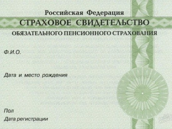 Зеленые карточки СНИЛС больше не будут выдавать в России