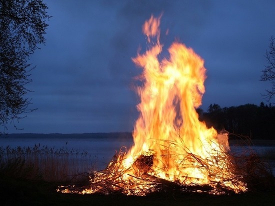 На территории Псковской области зарегистрирован лесной пожар