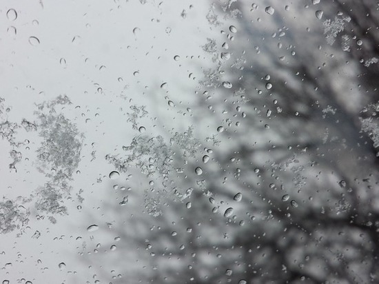 Синоптики прогнозируют дождь со снегом в Воронеже