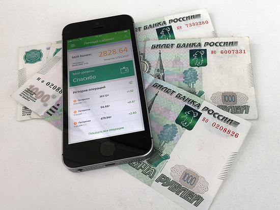 Чебоксарка лишилась 9 тысяч рублей при «обналичивании» бонусов «Спасибо»