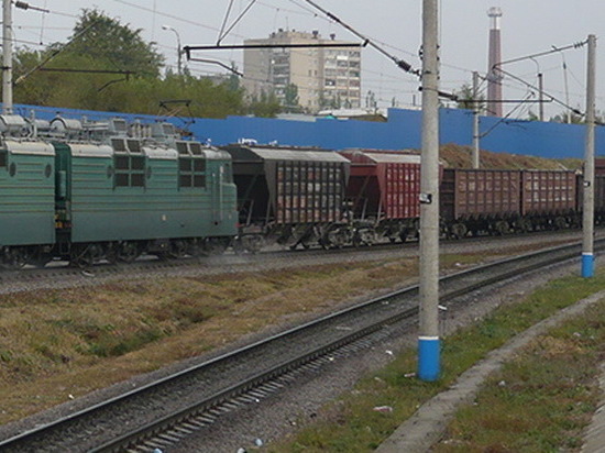 В Воронеже грузовой поезд насмерть сбил двух человек
