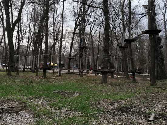 Парк на деревьях строят в Невинномысске