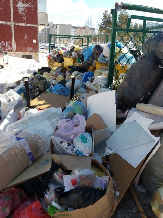 Регоператор объяснил, как появились «мусорные горы» в Ноябрьске