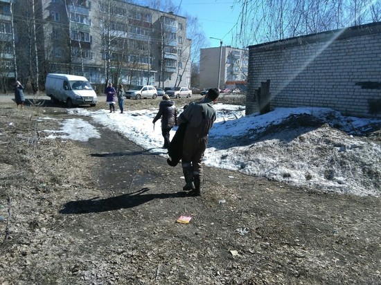 В Тверской области специальные службы ловили беременную собаку