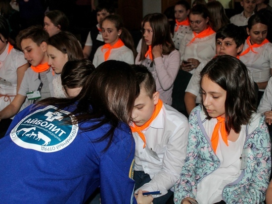 Проект развития эмпатии к бездомным животным запустили в Ставрополе