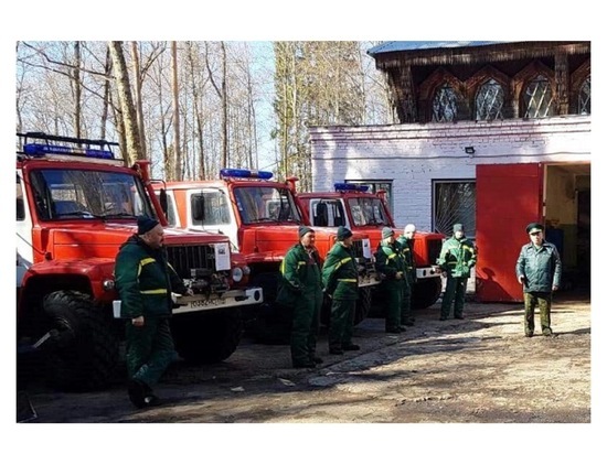 В Серпухове филиал «Русский лес» готов к пожароопасному сезону