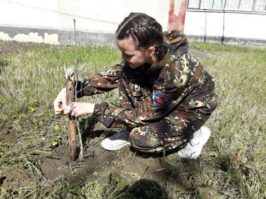 В честь окончания Ржевской битвы в Краснодаре высадили деревья