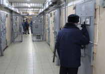 эротические новости