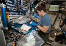 Самый полный список живущих на МКС бактерий и грибков составили специалисты NASA в течение экспериментов, которые проводились внутри станции в течение 14 месяцев
