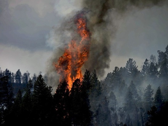 Пожароопасный сезон открыт еще в 8 районах Забайкалья