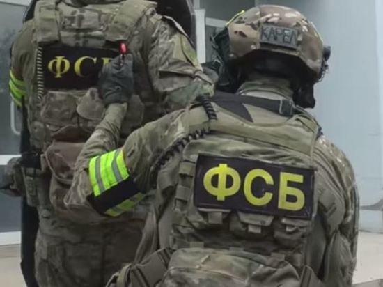 ФСБ задержала украинского диверсанта по фамилии Пирожок
