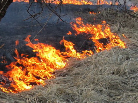 В Твери запретили пускать фейерверки из-за природных пожаров