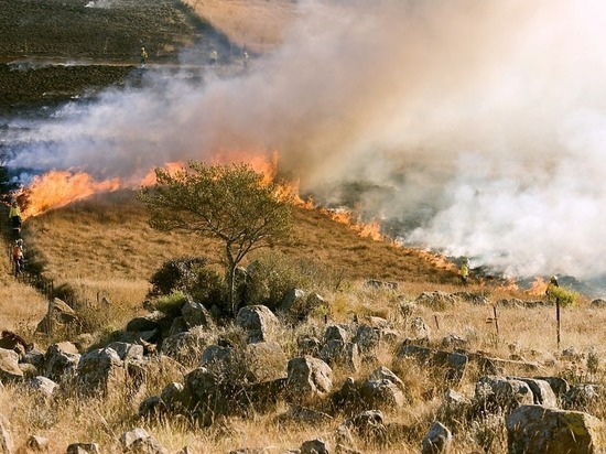 Новоалтайск заволокло дымом от горящей сухой травы
