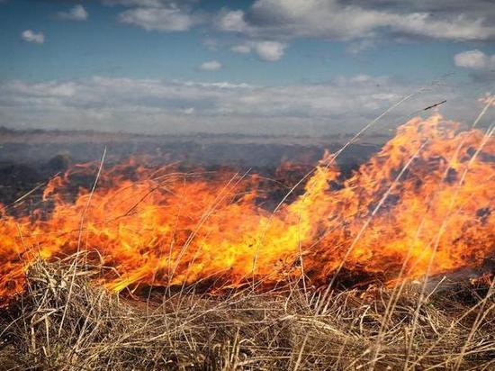 Пожароопасный сезон открыт еще в 3 районах Забайкалья