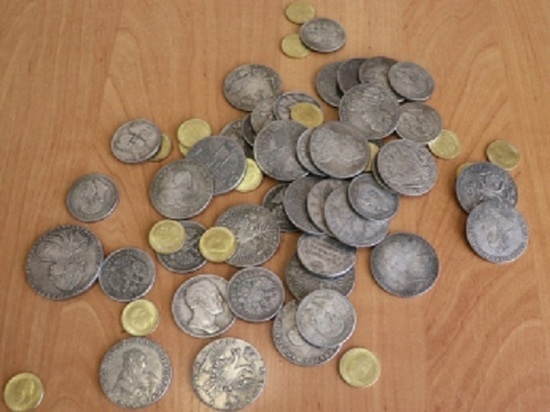 Красноярец за 160 тыс рублей купил поддельные антикварные монеты