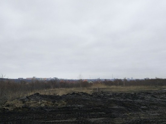 В Ульяновске потушили тлеющую свалку у поселка Сельдь
