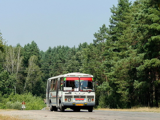 Воронежские «дачные» автобусы запустят 13 апреля