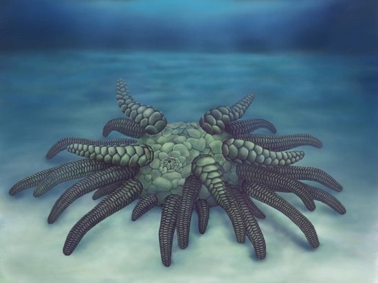 Ученые нашли останки морского чудища, которое жило 430 миллионов лет назад