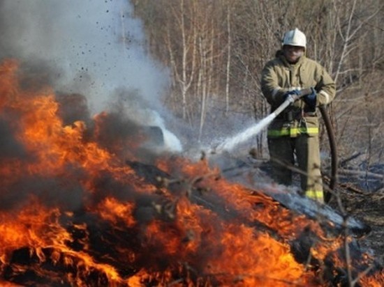 Игорь Руденя расскажет в Туле о борьбе с пожарами в Тверской области