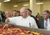 С 12 апреля вступает в силу запрет Россельхознадзора на поставку яблок и груш в нашу страну из Белоруссии