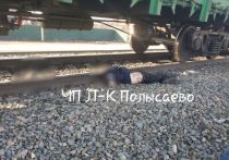 В пятницу в Ленинске-Кузнецком на железной дороге погиб местный житель, о чем сообщает VSE42