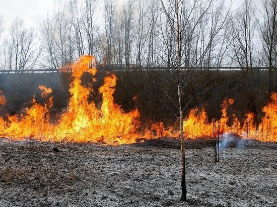 Ответственность за пожарную безопасность несёт каждый житель Тверской области