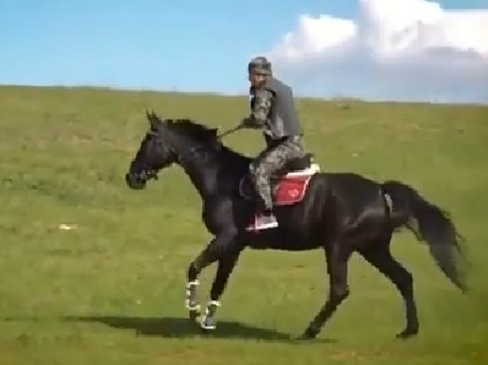 Чеченская конница готовится к историческому походу
