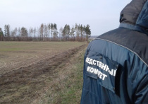 Неизвестные застрелили 15-летнего мальчика возле дороги в мордовском селе Большие Березники
