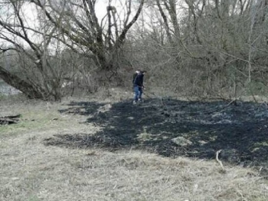 Курские школьники предотвратили лесной пожар