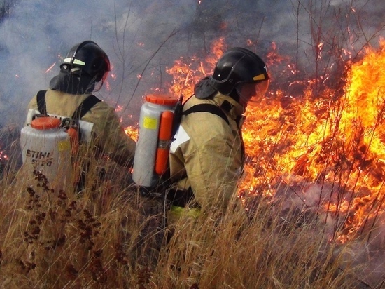 В Калининградской области тушили палы и горящие деревья
