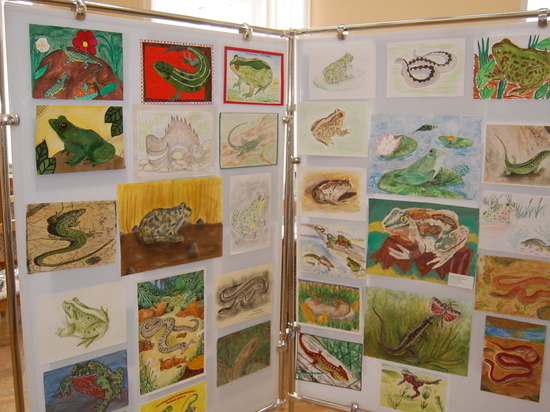 В Тверской области подвели итоги детского конкурса рисунков