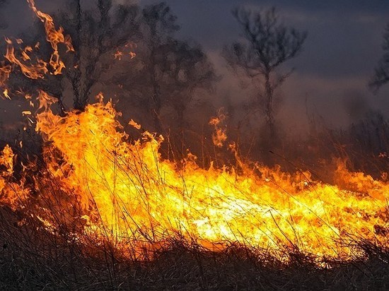 В Архангельской области начались «травяные пожары»