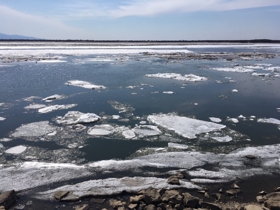 Скоро ледоход: Амур у Хабаровска освобождается ото льда