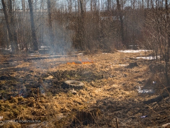 Петрозаводск в огне: пожарным прибавилось работы из-за горящей травы