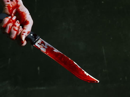 За 6 ударов ножа в продавщицу ульяновец проведет в колонии 12 лет