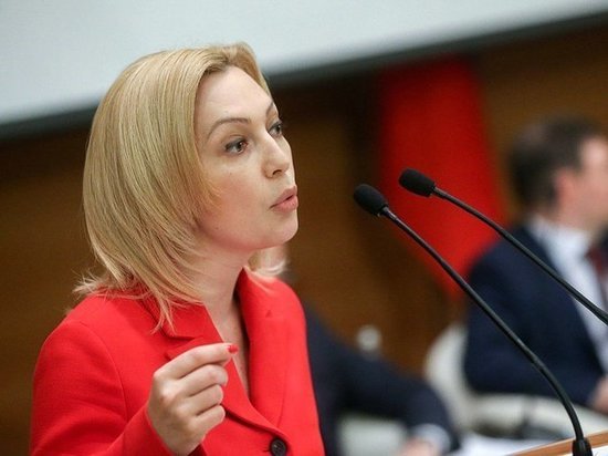 Вице-спикер Госдумы предлагает поддержать региональную прессу