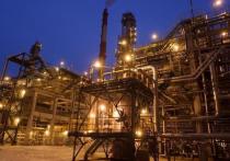 Суммарный размер дивидендов «Роснефти» за 2018 год может составить рекордные 25,91 рубля за одну акцию