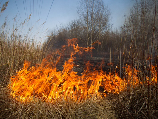В Западнодвинском районе активно борются с поджигателями травы