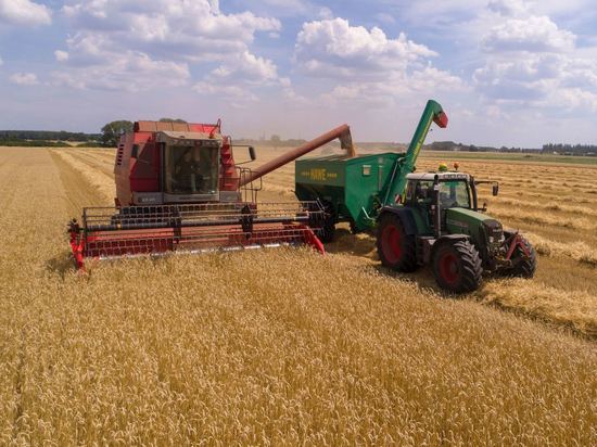 Прокормимся: сельхозпродуктов в Калининградской области стало больше на 13 процентов