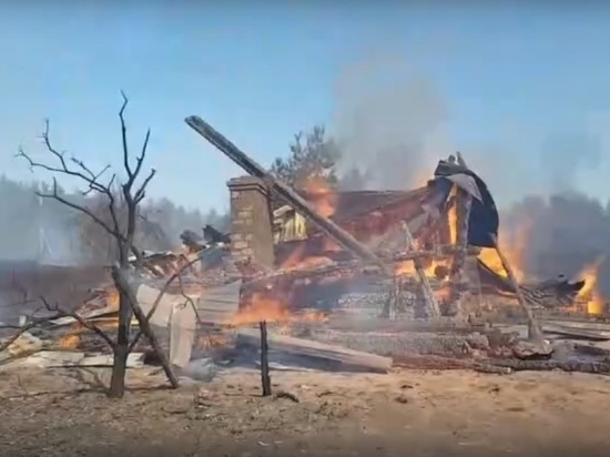 Стали известны подробности крупного пожара в Тверской области