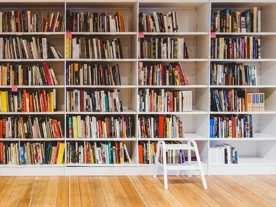 Тульские муниципалитеты слабо оснащены библиотеками