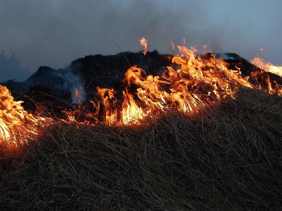 В Киржаче пожилая женщина погибла, сжигая сухую траву на участке