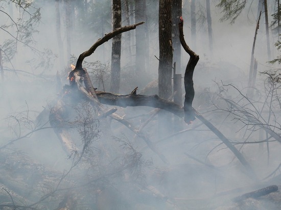Более 10 пожаров возникло за сутки в Забайкалье