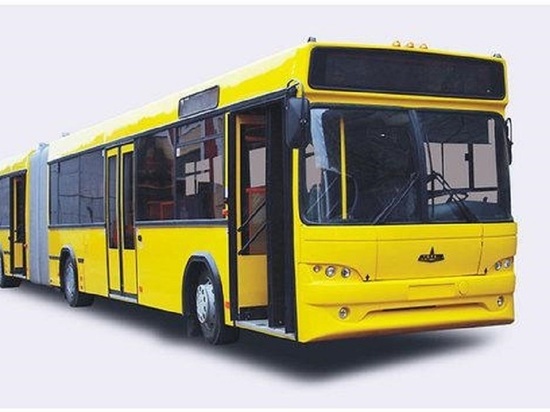 Парк для новых автобусов Читы доверили выбрать ЗППК