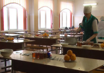 В России необходимо принять закон, регулирующий систему школьного питания, заявила депутат думы Екатеринбурга Елена Дерягина