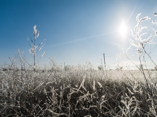 МЧС предупредило о продлении заморозков в Волгоградской области