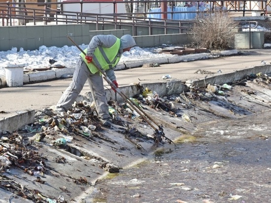 Пруд у цирка в Кирове очистят от мусора