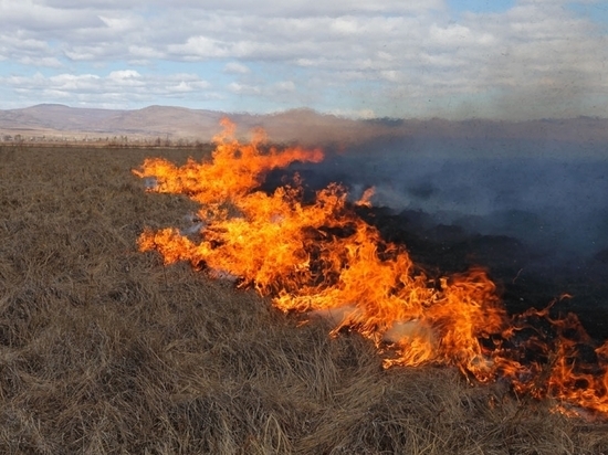Степной пожар из Китая перешел на приграничное село в Забайкалье