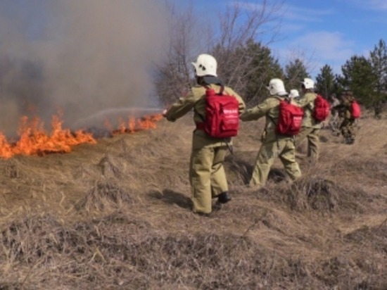За сутки в Ульяновской области 64 раза загорелась сухая трава