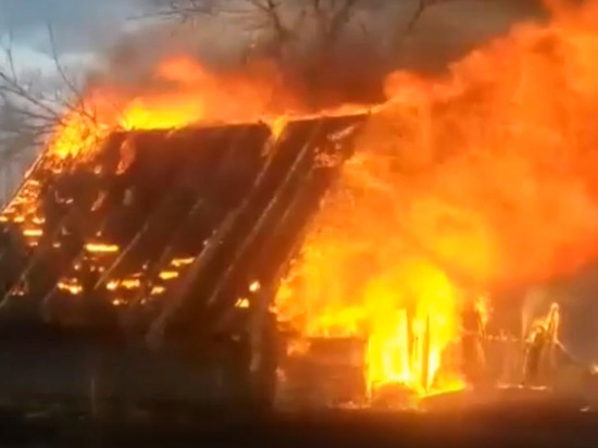 Целая деревня в Тверской области почти полностью уничтожена огнем